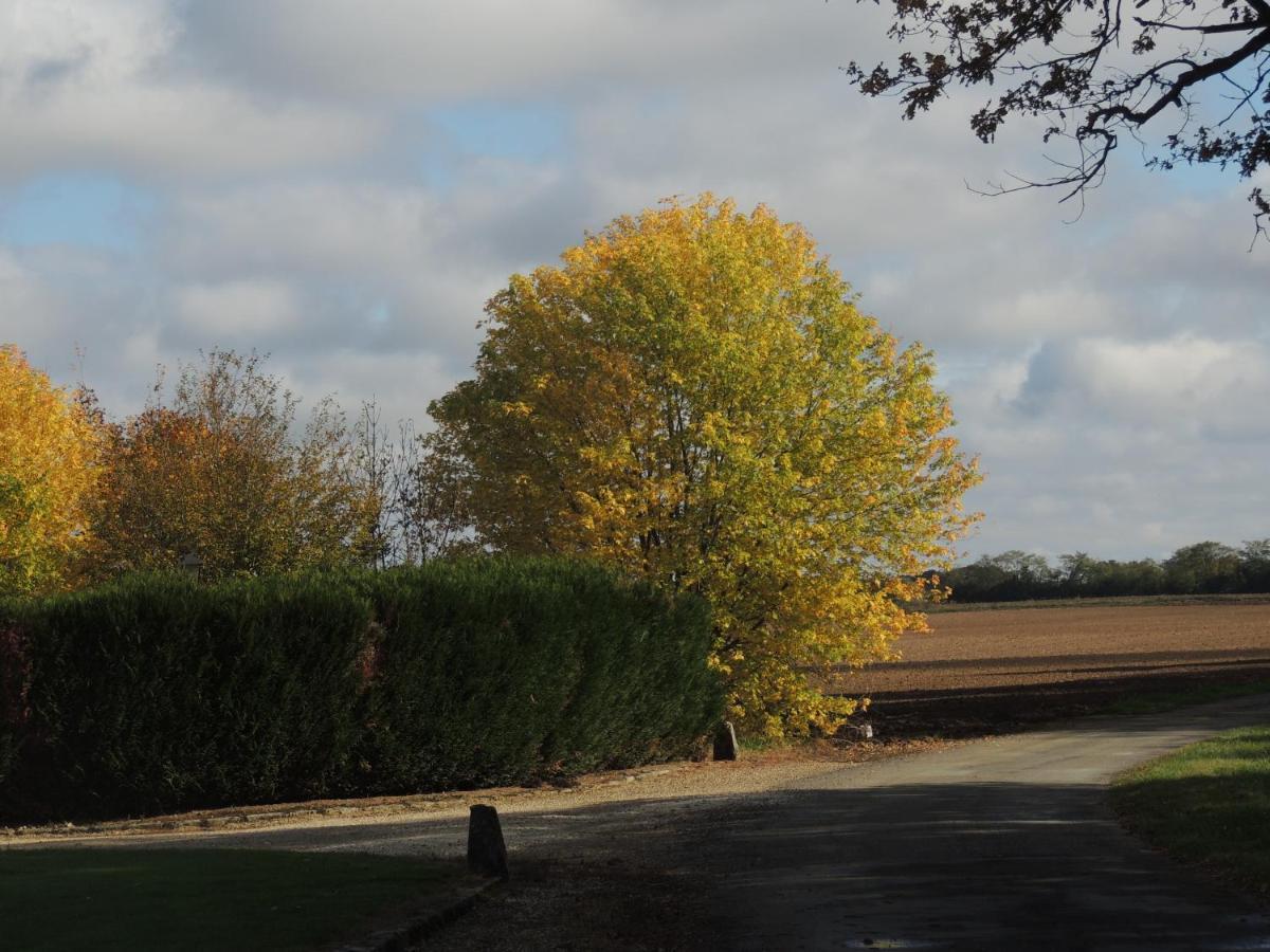 D'hotes La Coliniere Bed and breakfast Batilly-en-Puisaye
